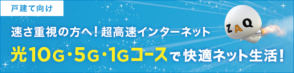 光1Gコースで快適インターネット!