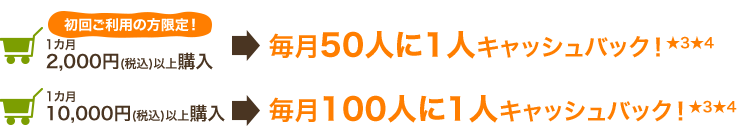 初回ご利用の方限定! 1ヵ月2,000円(税込)以上購入 毎月50人に1人キャッシュバック!★3★4 1ヵ月10,000円(税込)以上購入 毎月100人に1人キャッシュバック!★3★4
