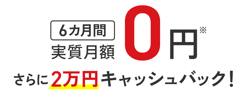 6カ月間 実質月額0円