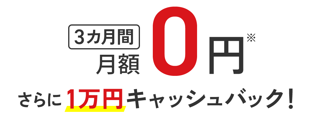 3カ月間 月額0円