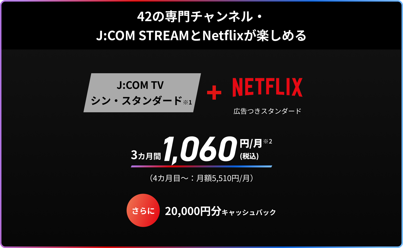 42の専門チャンネル・J:COM STREAMとNetflixが楽しめる