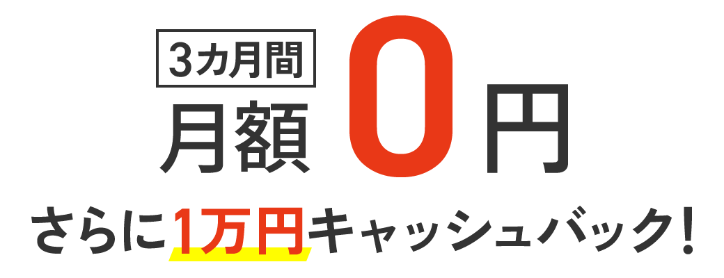 3カ月間 月額0円〜