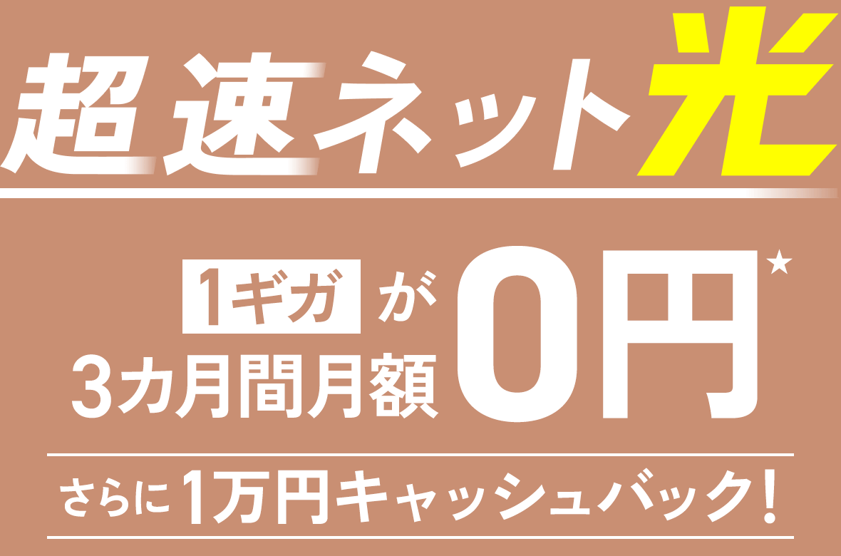 超速ネット光 1ギガが3カ月間月額0円