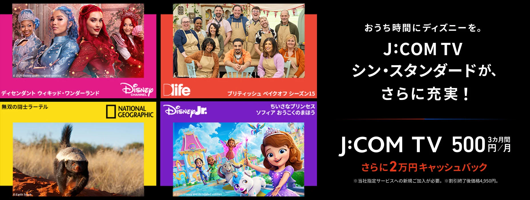 J:COM TV シン・スタンダード