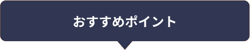 おすすめポイント