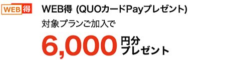 【WEB得（QUOカードPayプレゼント）】対象プラン加入で6,000円分プレゼント→ 適用条件はこちら