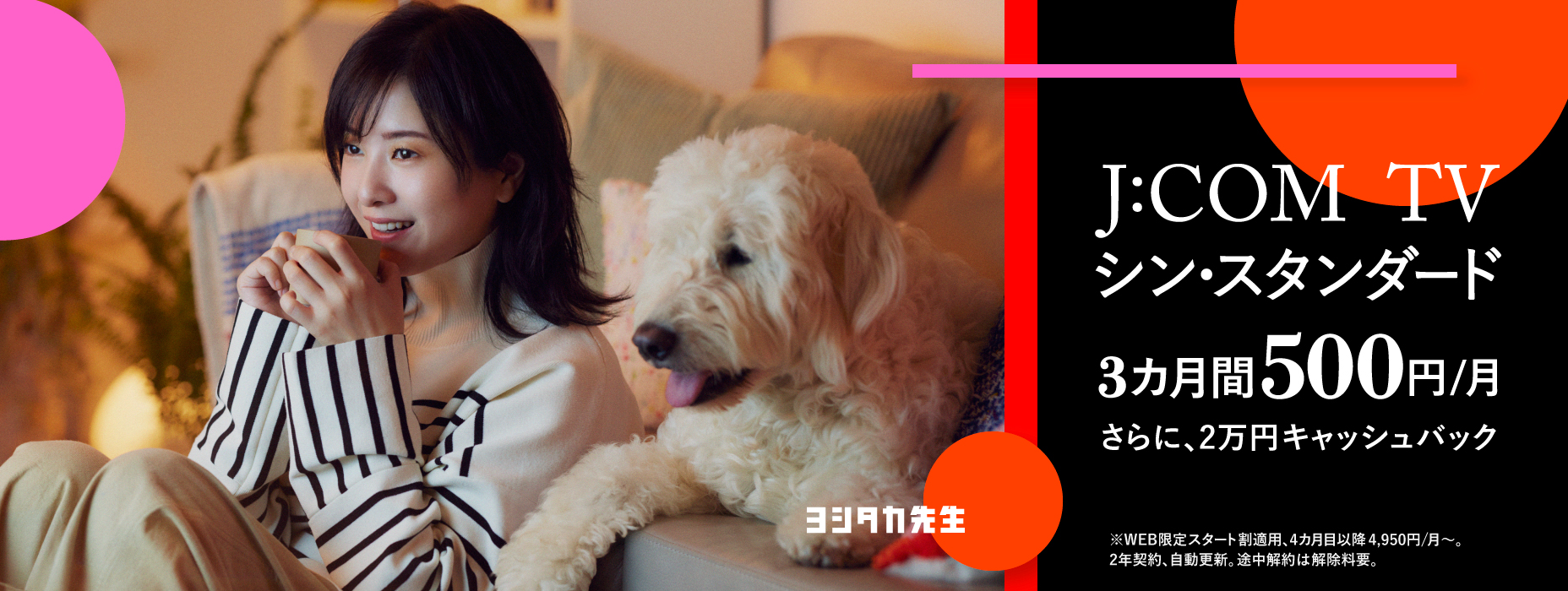 シン・スタンダード