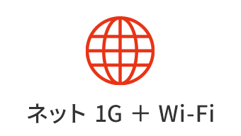 NET 1G + Wi-Fi