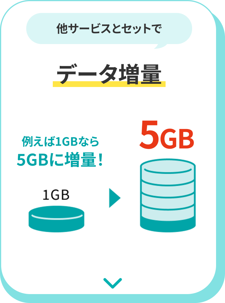 月額料金
