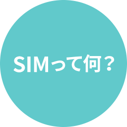 什么是SIM?
