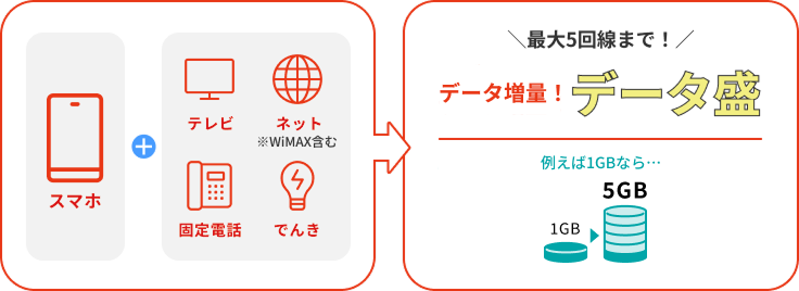 ず〜っとデータ増量！データ盛｜5GB：980円(税込1,078円)/月