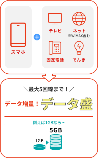 ず〜っとデータ増量！データ盛｜5GB：980円(税込1,078円)/月