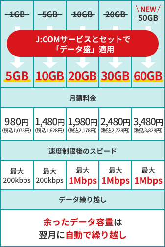 データ容量ごとの料金詳細