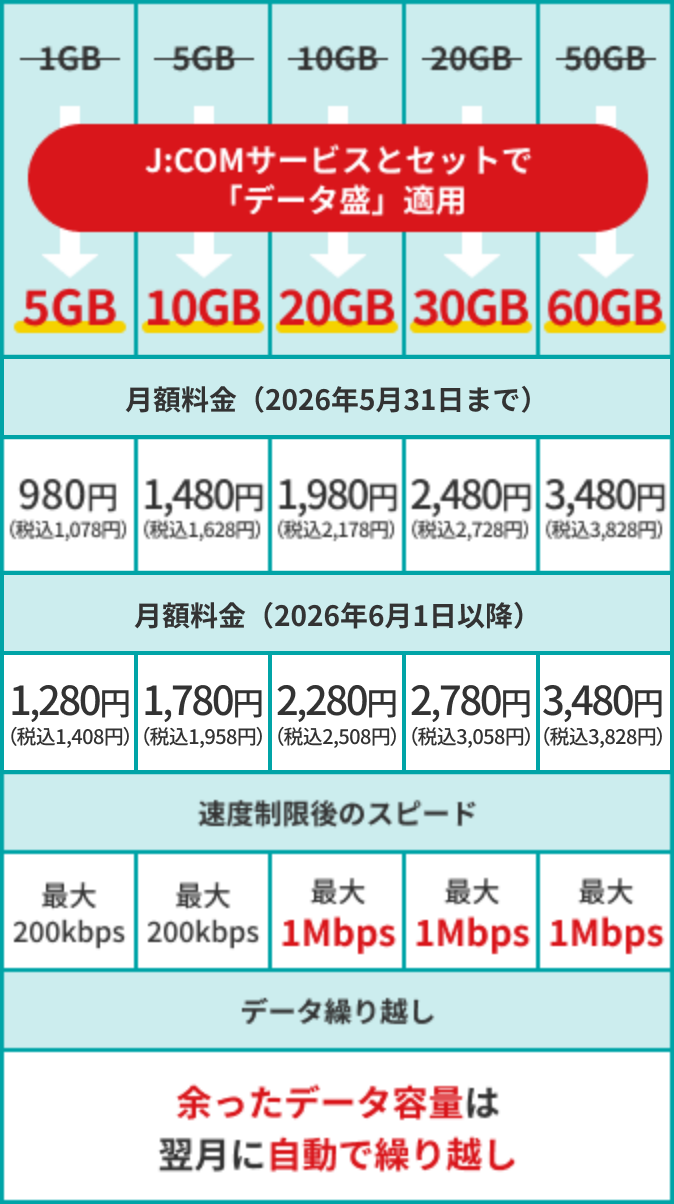 データ容量ごとの料金詳細
