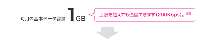 毎月の基本データ容量 1GB 上限を超えても通信できます(200Kbps)。