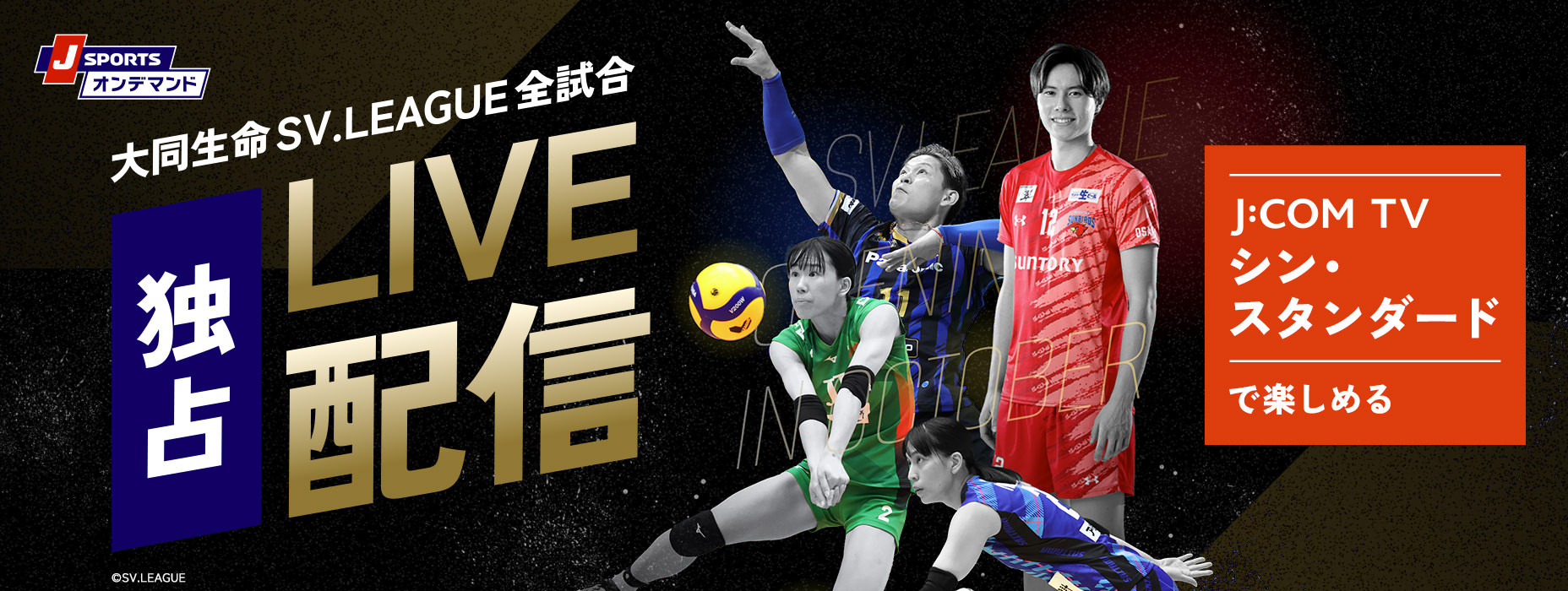 J SPORTSオンデマンド 大同生命 SV.LEAGUE 全試合 独占LIVE配信 J:COM TV シン･スタンダードで楽しめる